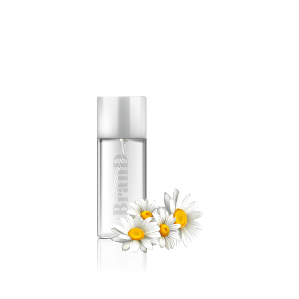 گلدان آپارتمانی یوکا بدون ساقه