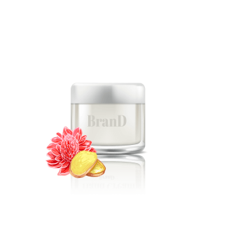 گلدان آپارتمانی زاموفیلیا