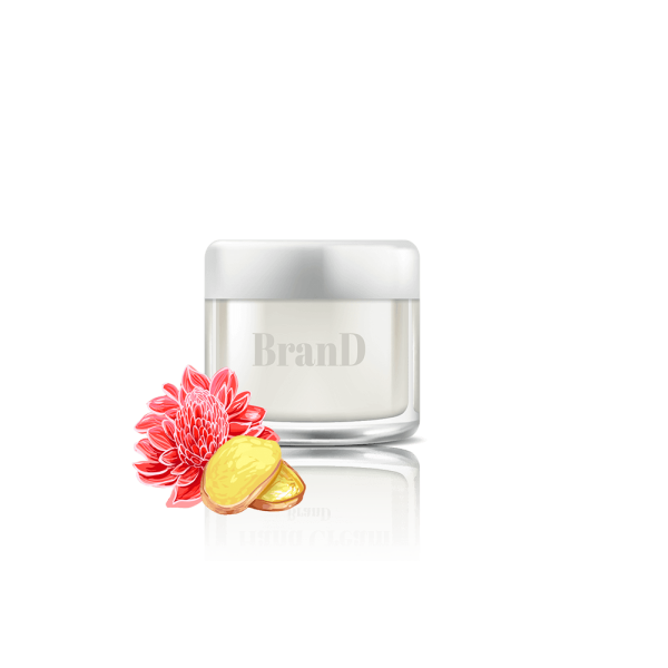 گلدان آپارتمانی زاموفیلیا