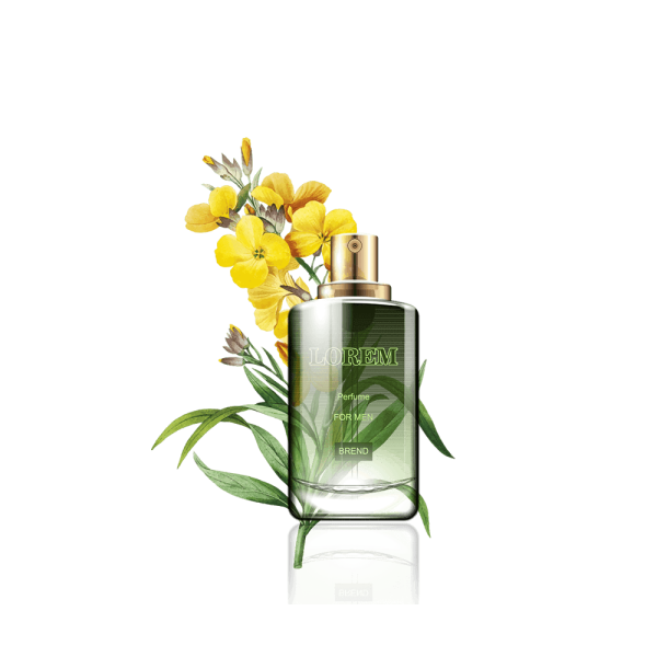 گلدان آپارتمانی دراسنا کامپکت