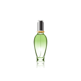 گلدان آپارتمانی ورزیا زبرا